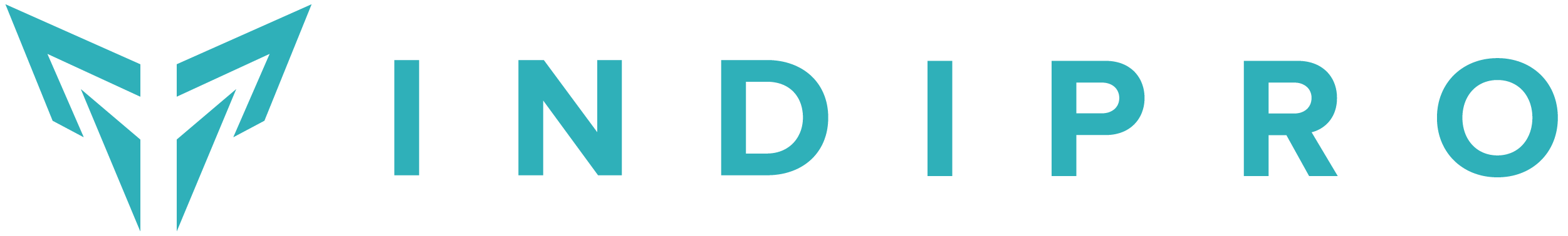 Indipro Tools logo
