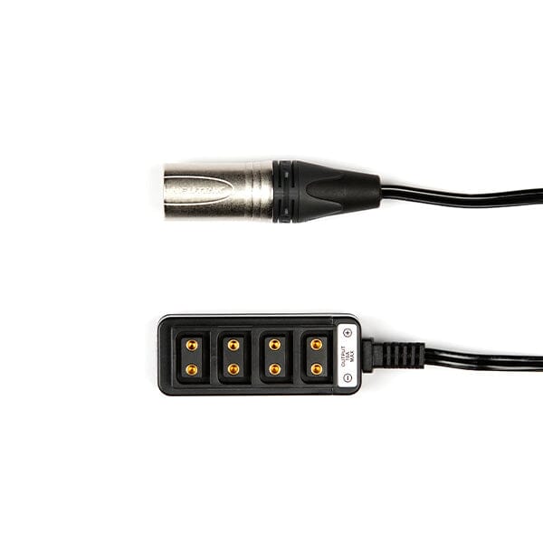 3-Pin Male XLR to 4 way D-Tap Splitter (22") Cable Indipro 