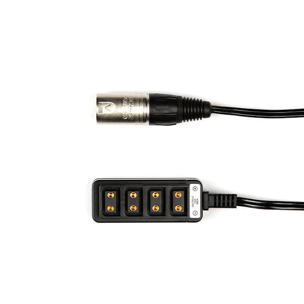 4-Pin Male XLR to 4 way D-Tap Splitter (22") Cable Indipro