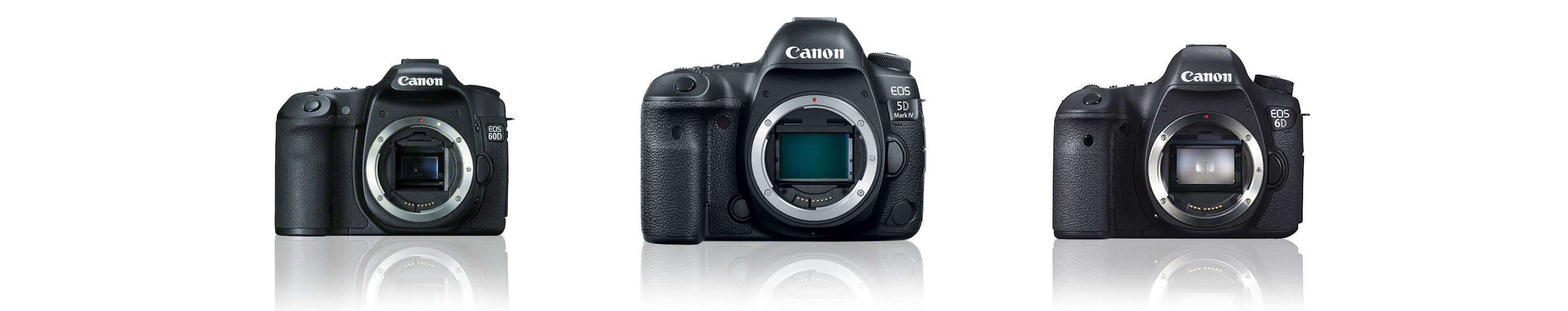 Canon LP-E6 Powered Devices